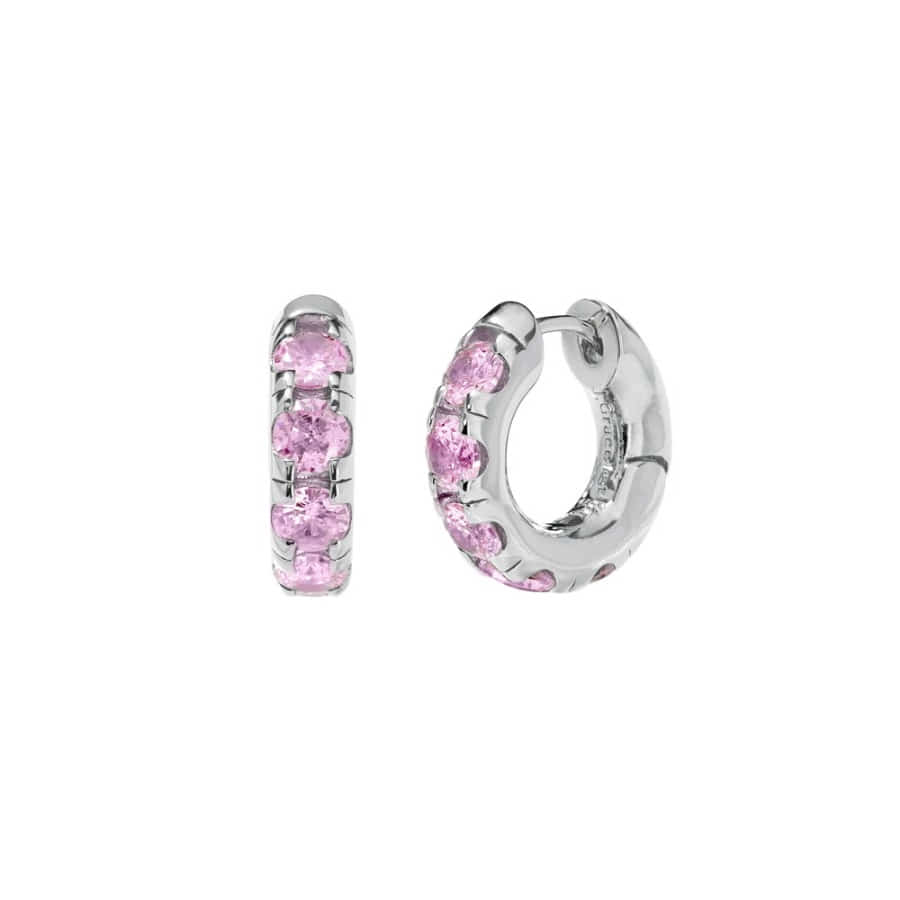 Round Volume Pink Earrings ( S925 )