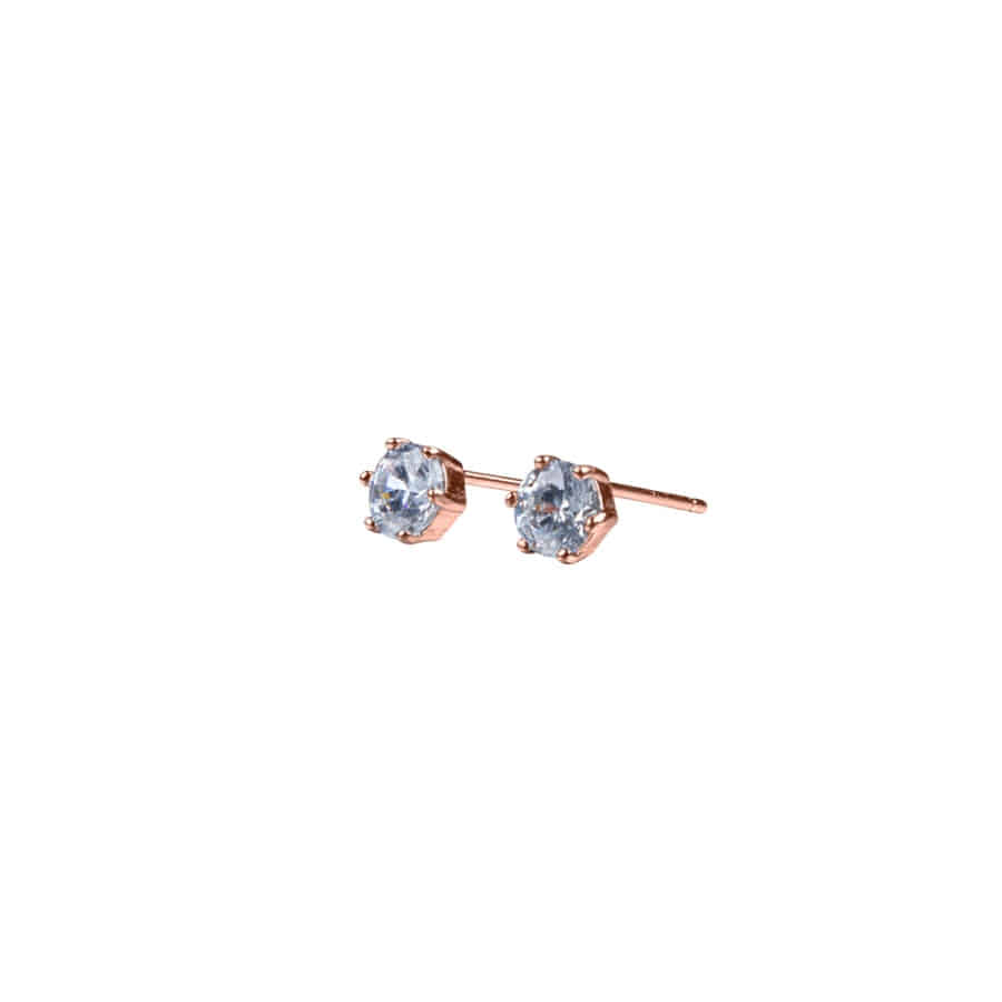 Shallow Round Earring ( S 925 )